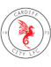Cardiff City Ladies (-2024)