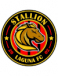 Stallion Laguna FC