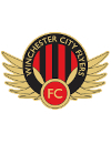 Winchester City Flyers