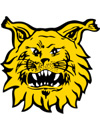 Ilves